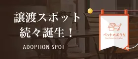 譲渡スポット続々誕生！